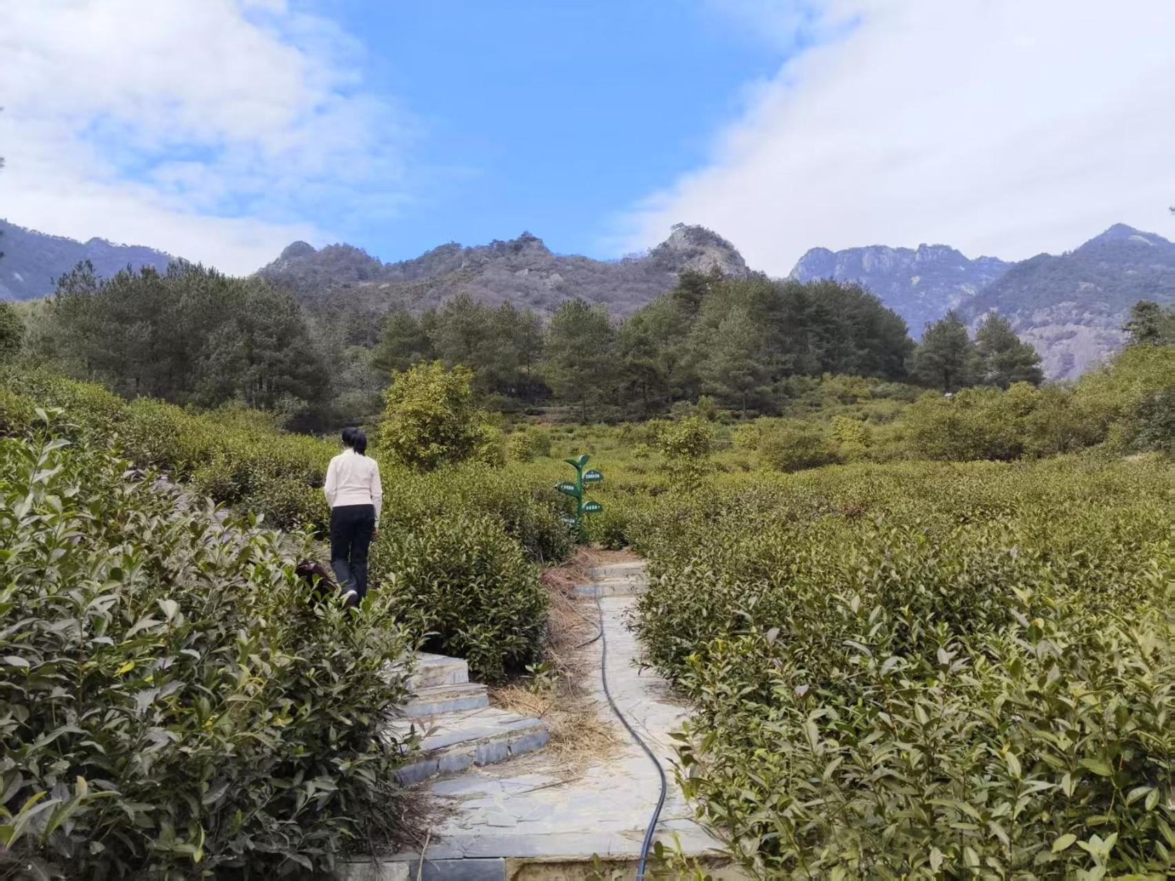 Yunshan Villa Huangshan Esterno foto